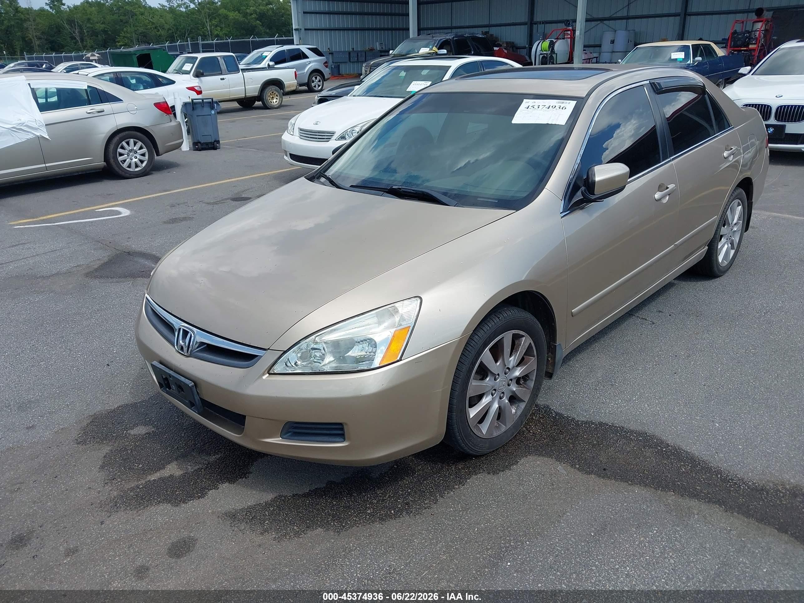 2006 Honda Accord 3.0 Ex Beige vin: 1HGCM66546A014673
