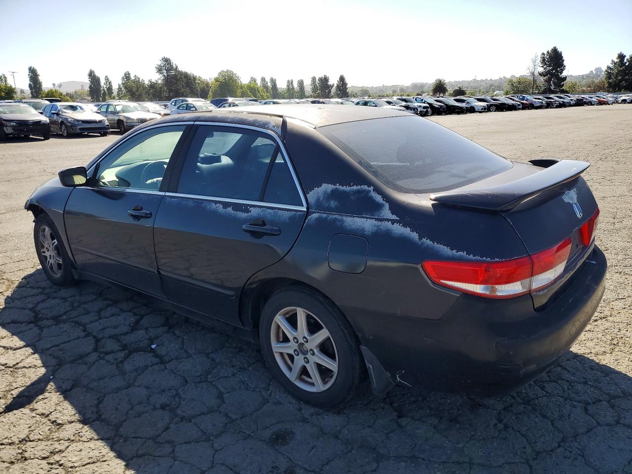 2003 Honda Accord Ex Black vin: 1HGCM66553A052456
