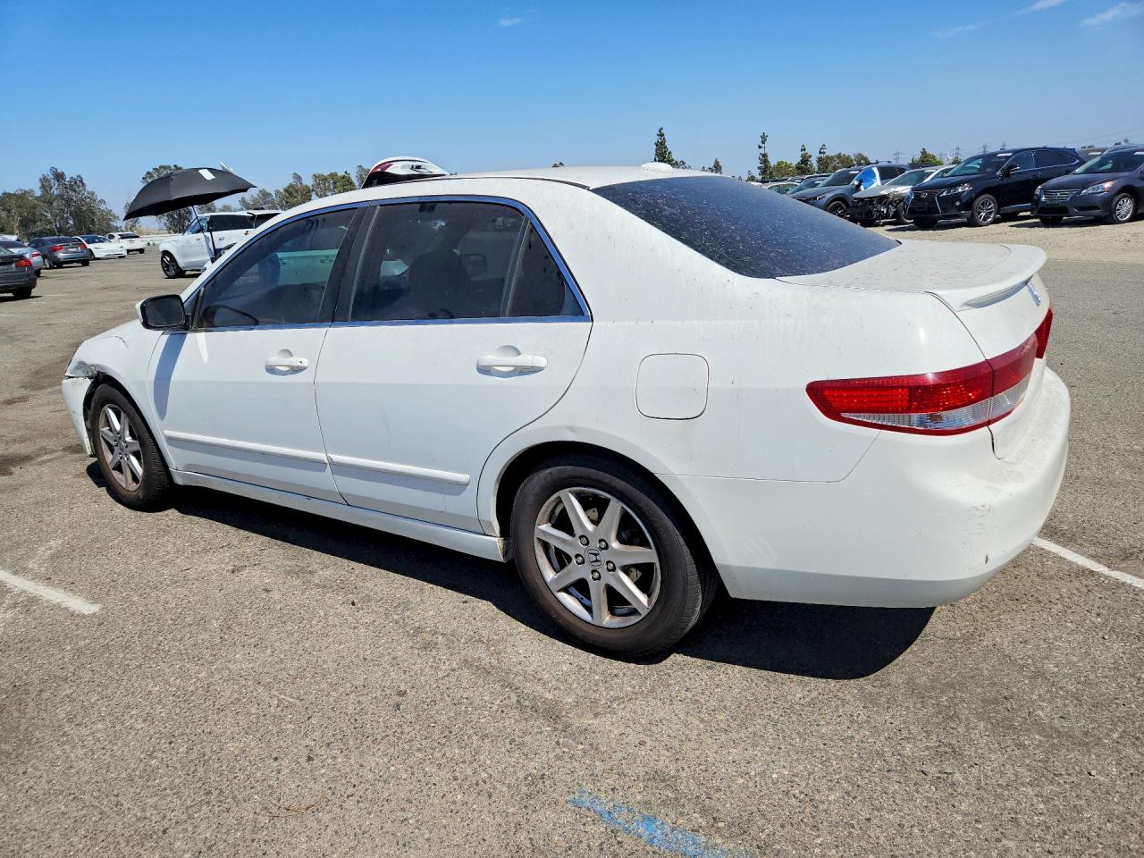2004 Honda Accord Ex Белый vin: 1HGCM66554A022813