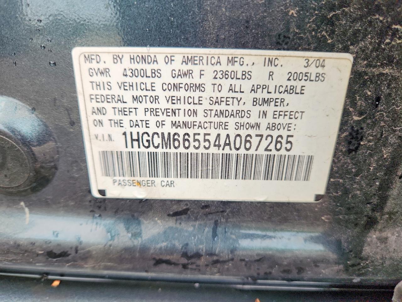 2004 Honda Accord Ex Teal vin: 1HGCM66554A067265