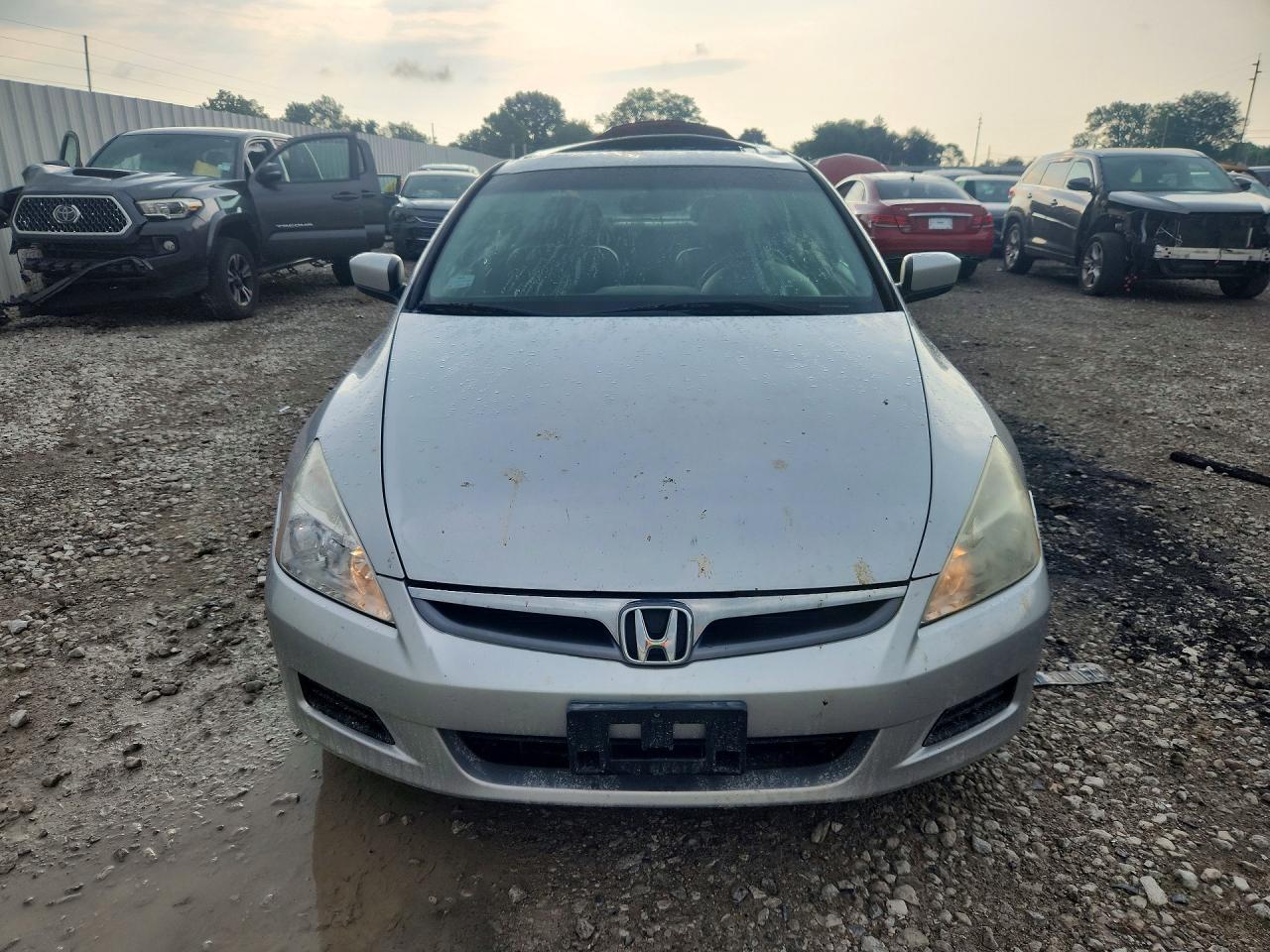2007 Honda Accord Ex Silver vin: 1HGCM66557A035775