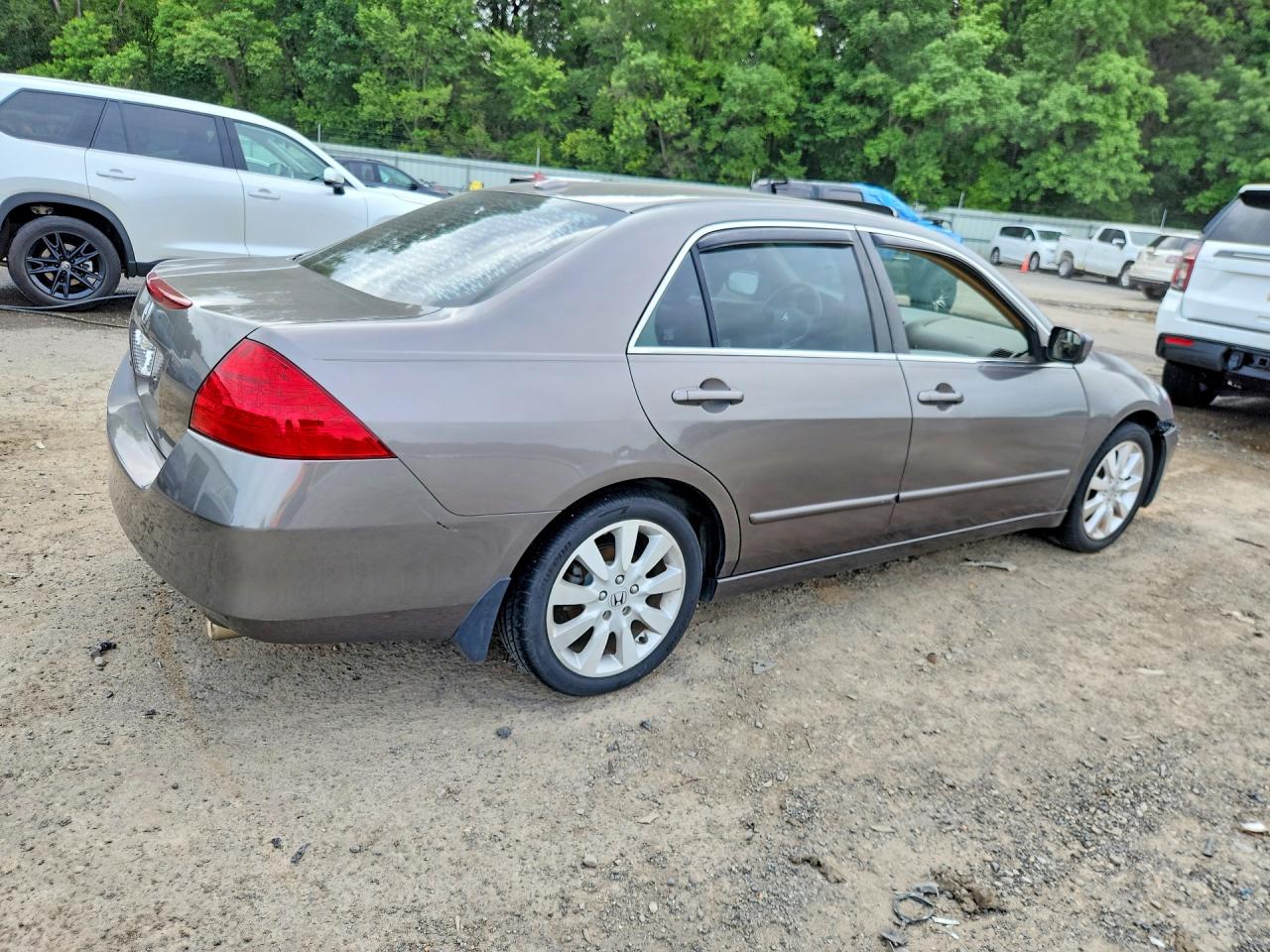 2007 Honda Accord Ex Gray vin: 1HGCM66557A063236