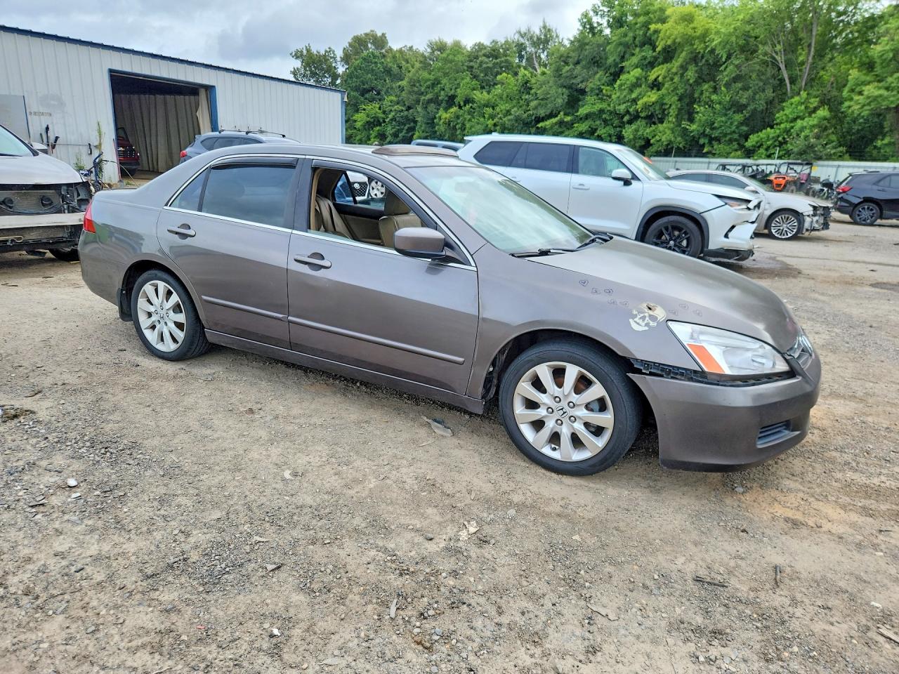 2007 Honda Accord Ex Gray vin: 1HGCM66557A063236
