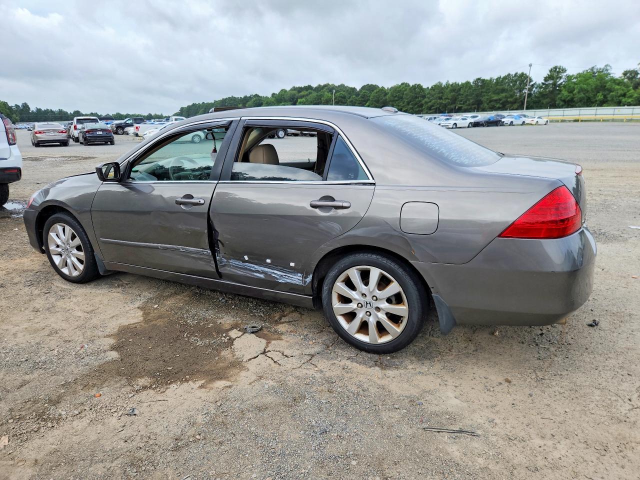 2007 Honda Accord Ex Gray vin: 1HGCM66557A063236