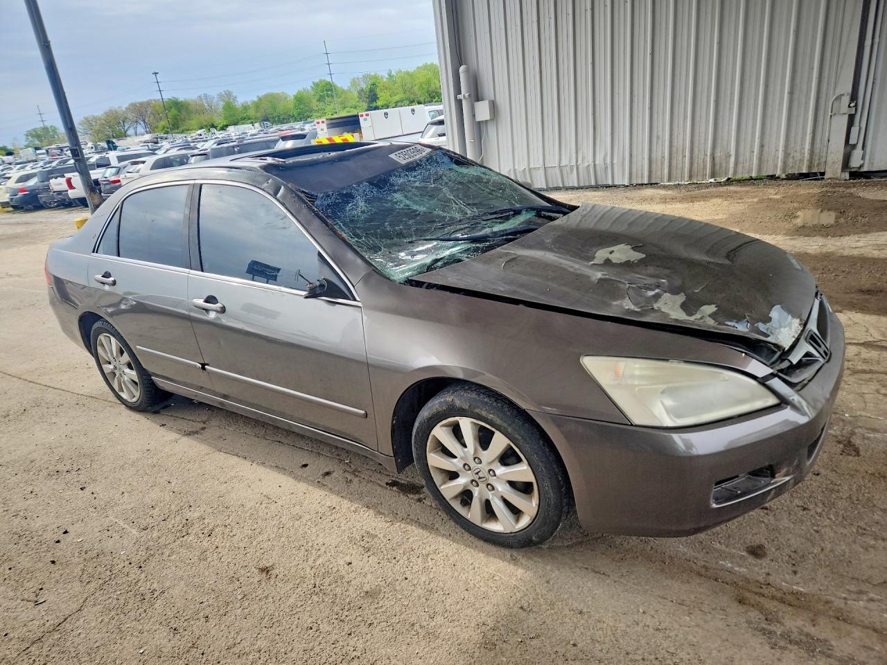 2007 Honda Accord Ex Желто-коричневый vin: 1HGCM66557A081963