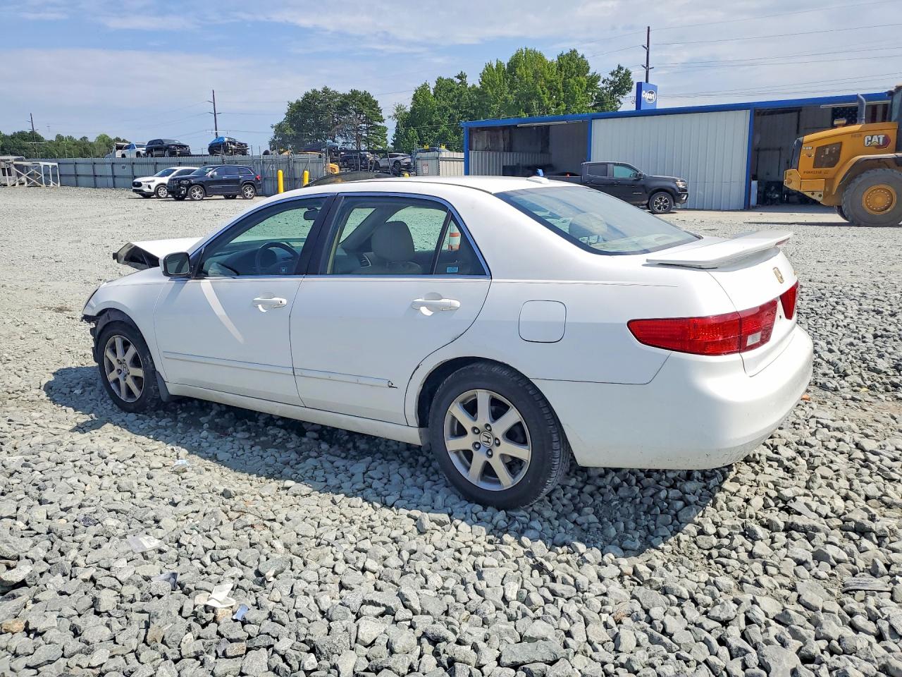 2005 Honda Accord Ex White vin: 1HGCM66565A044613