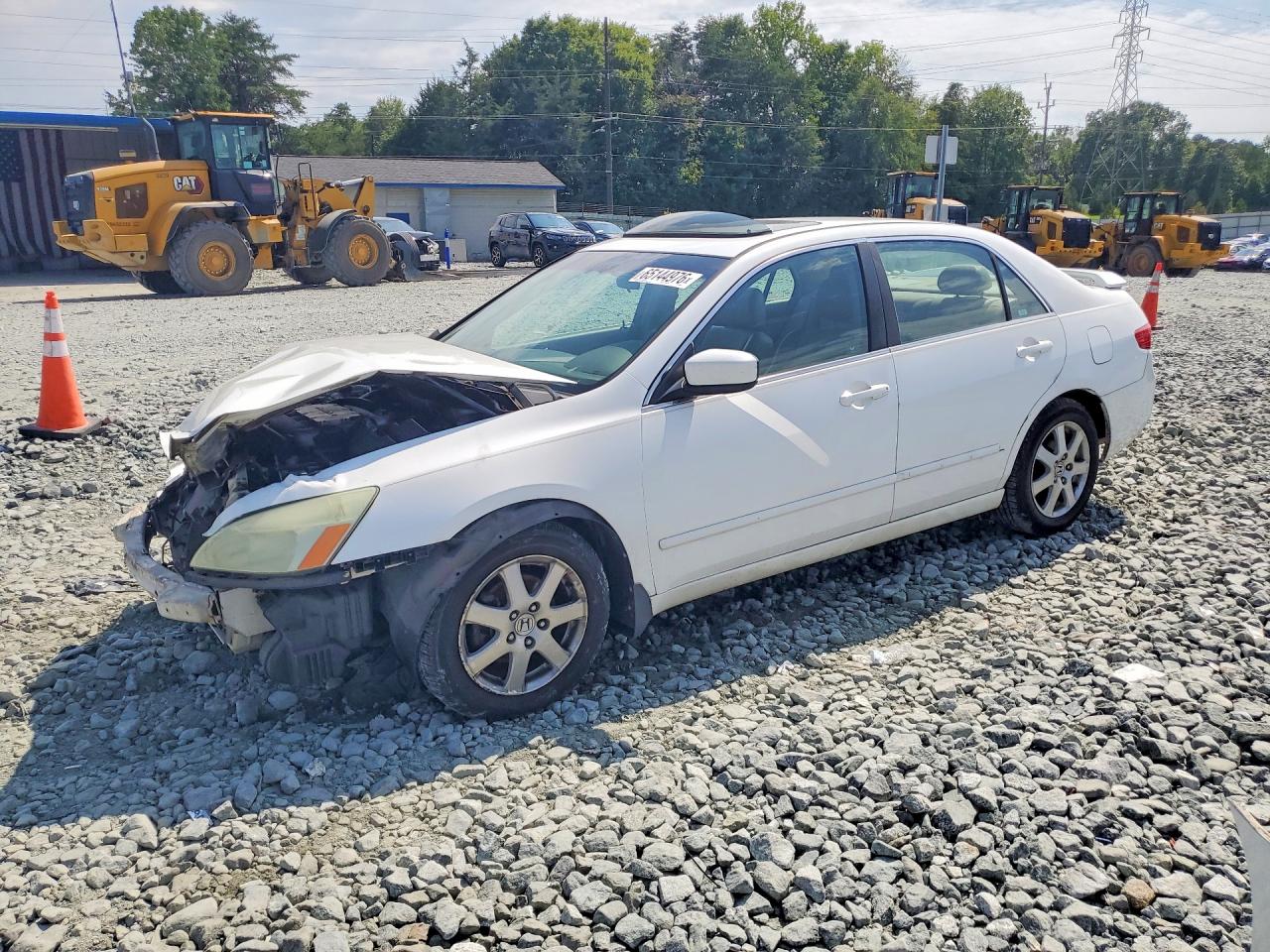 2005 Honda Accord Ex White vin: 1HGCM66565A044613