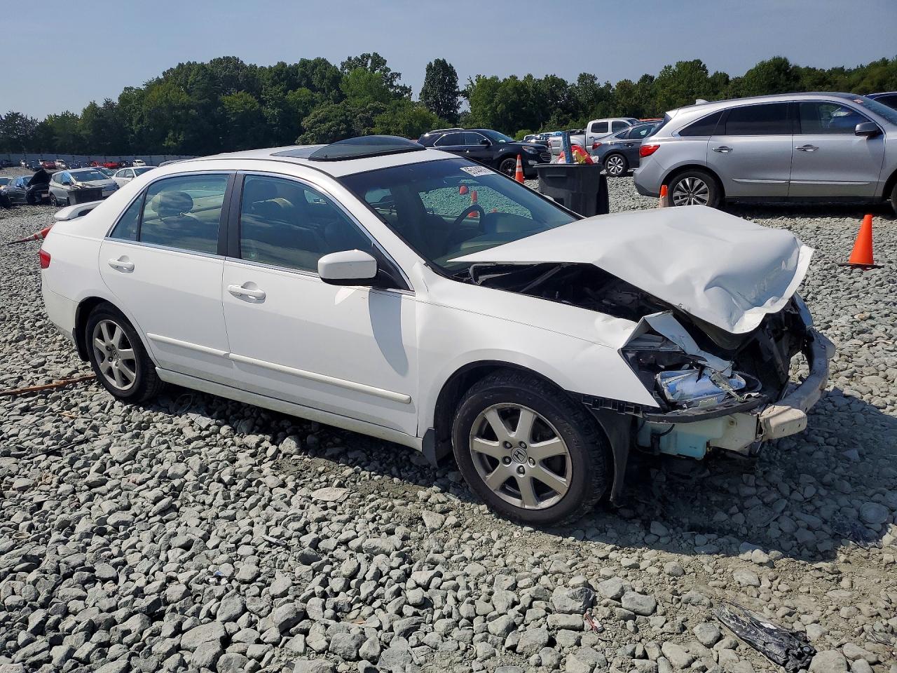 2005 Honda Accord Ex White vin: 1HGCM66565A044613