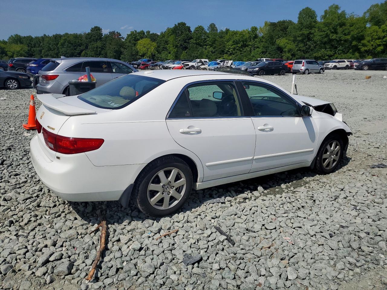 2005 Honda Accord Ex White vin: 1HGCM66565A044613