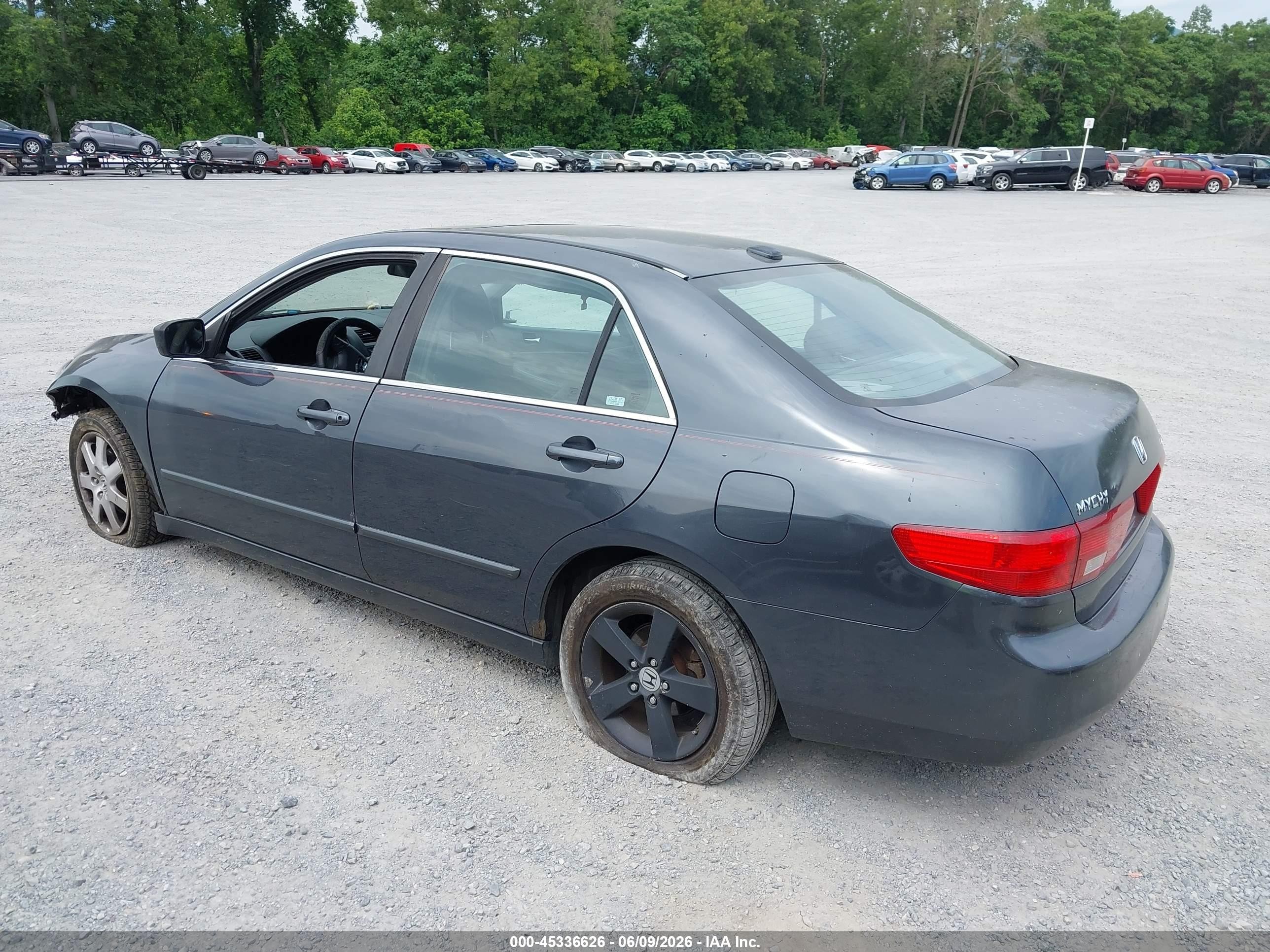 2005 Honda Accord 3.0 Ex Gray vin: 1HGCM66565A065736