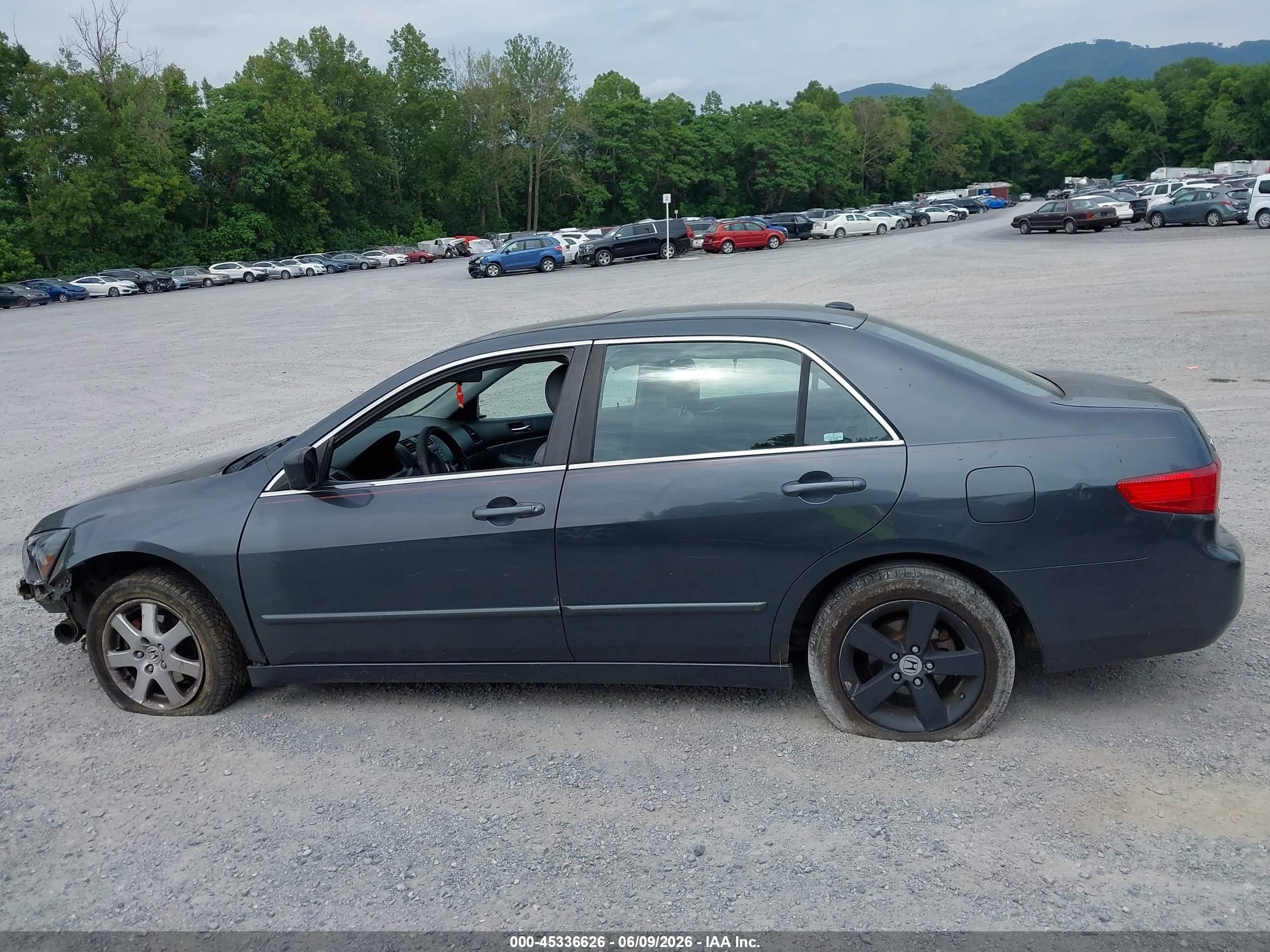 2005 Honda Accord 3.0 Ex Gray vin: 1HGCM66565A065736