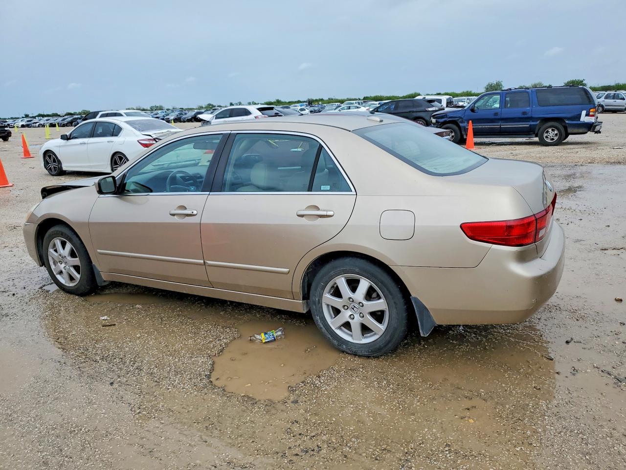 2005 Honda Accord Ex Gold vin: 1HGCM66565A068796