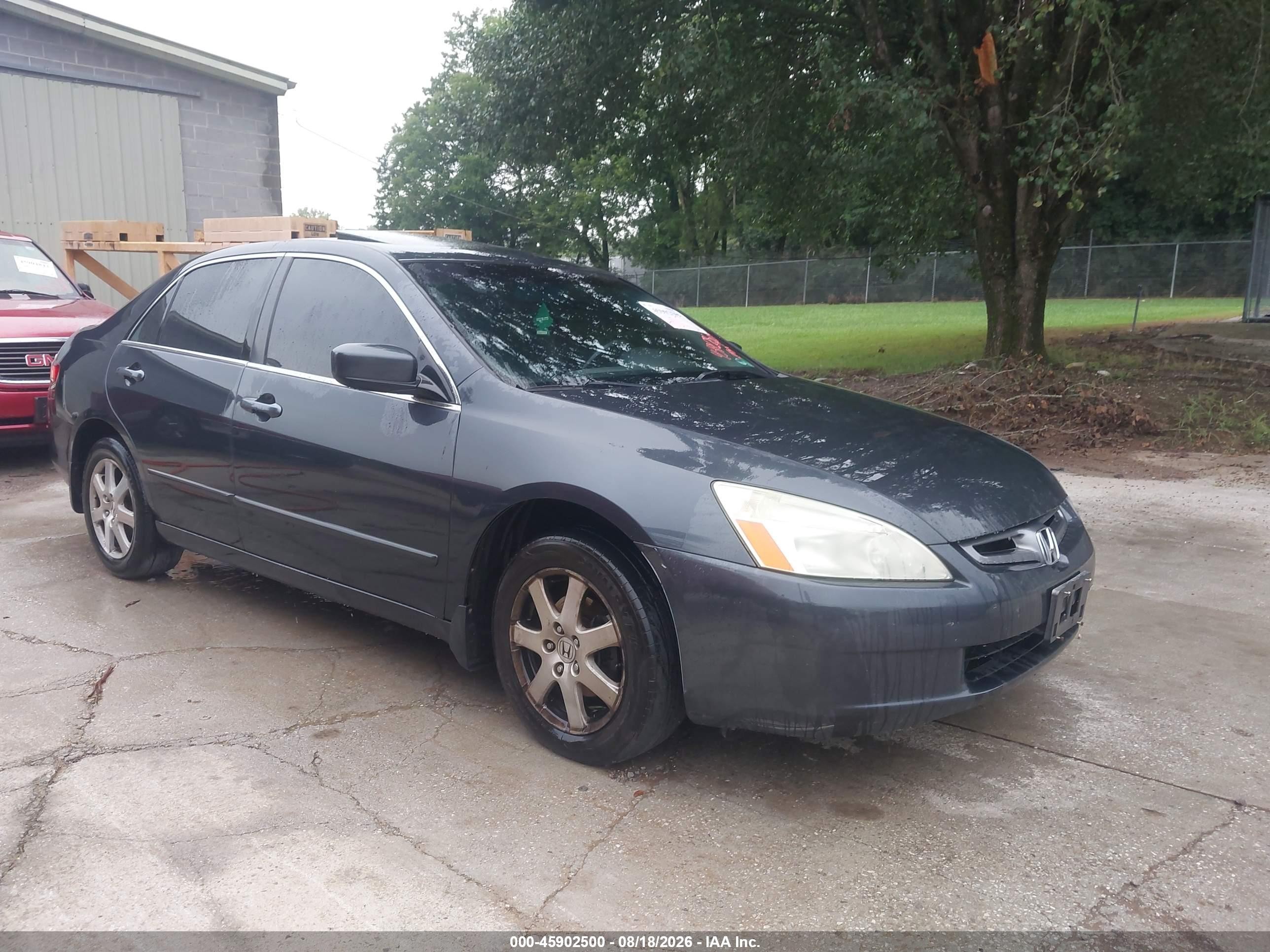 2005 Honda Accord 3.0 Ex Gray vin: 1HGCM66565A073934