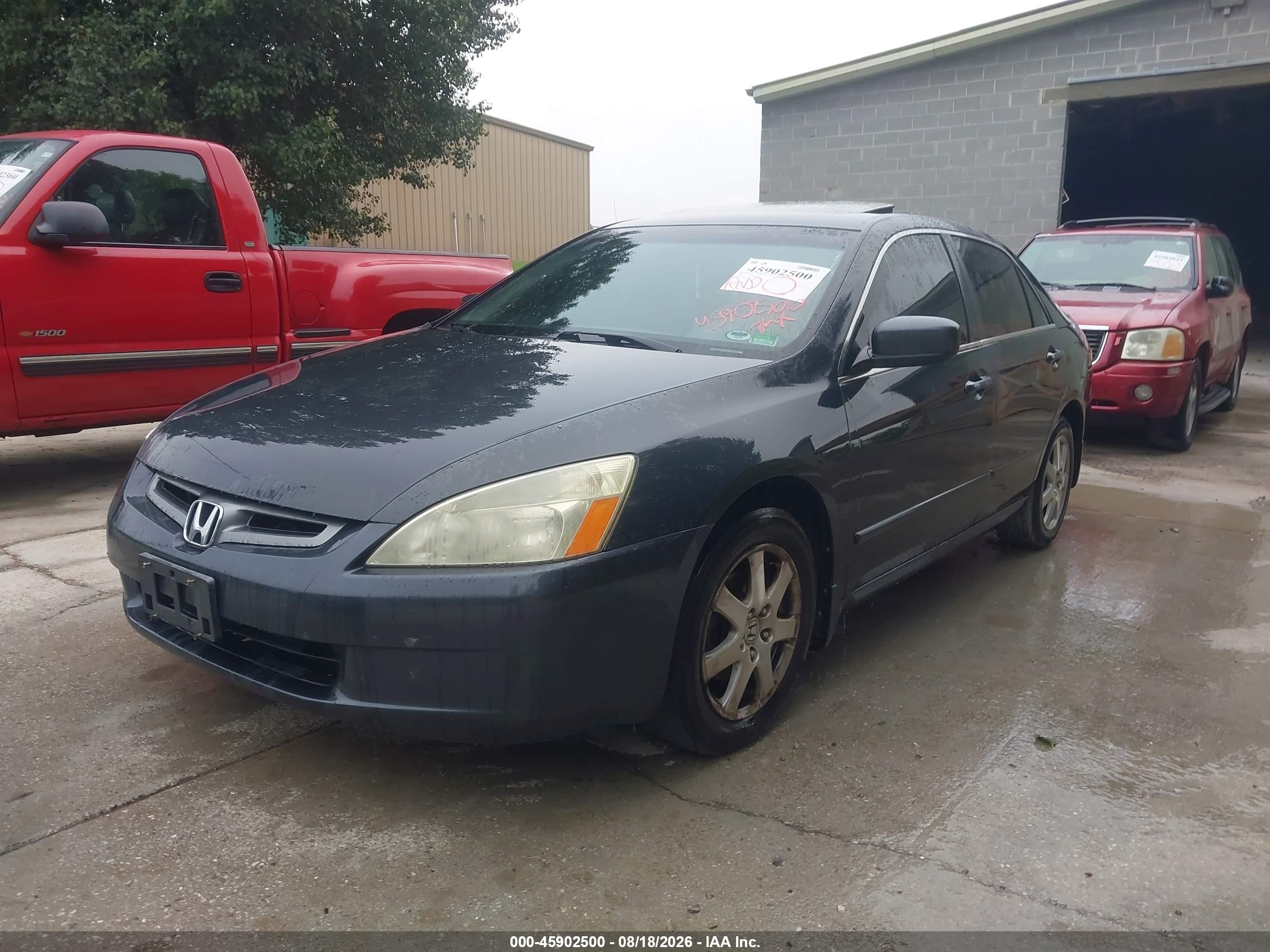 2005 Honda Accord 3.0 Ex Gray vin: 1HGCM66565A073934