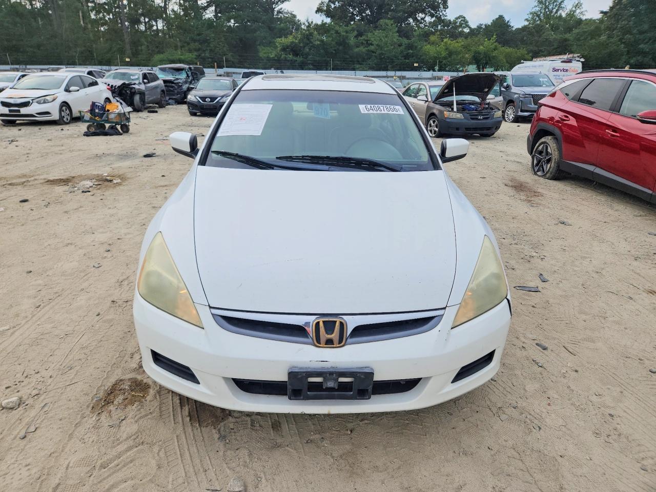 2006 Honda Accord Ex White vin: 1HGCM66566A014173
