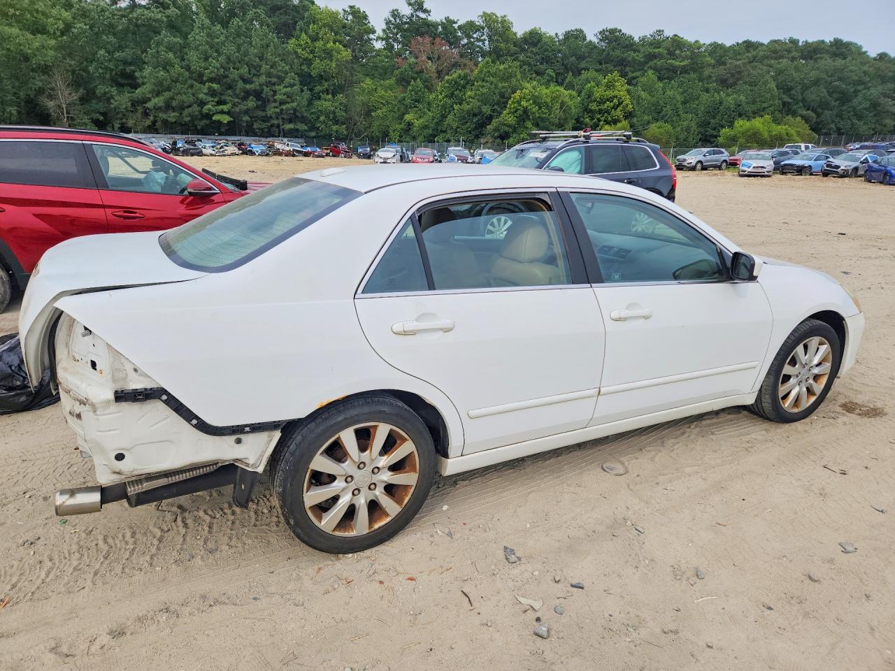 2006 Honda Accord Ex White vin: 1HGCM66566A014173