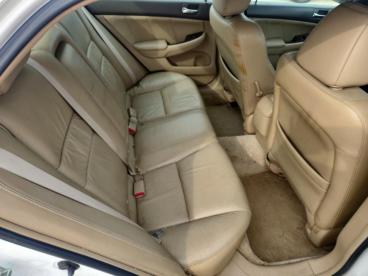 2006 Honda Accord Ex White vin: 1HGCM66566A014173