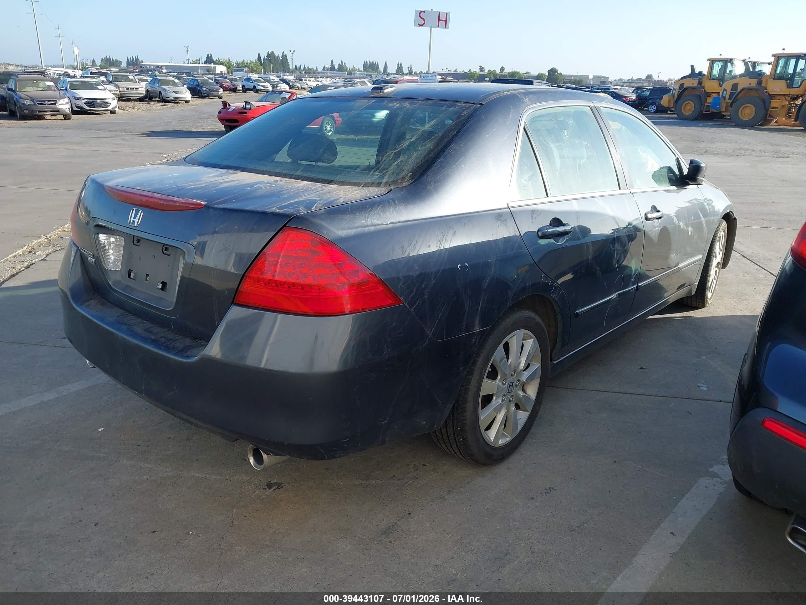 2007 Honda Accord 3.0 Ex Gray vin: 1HGCM66567A028088