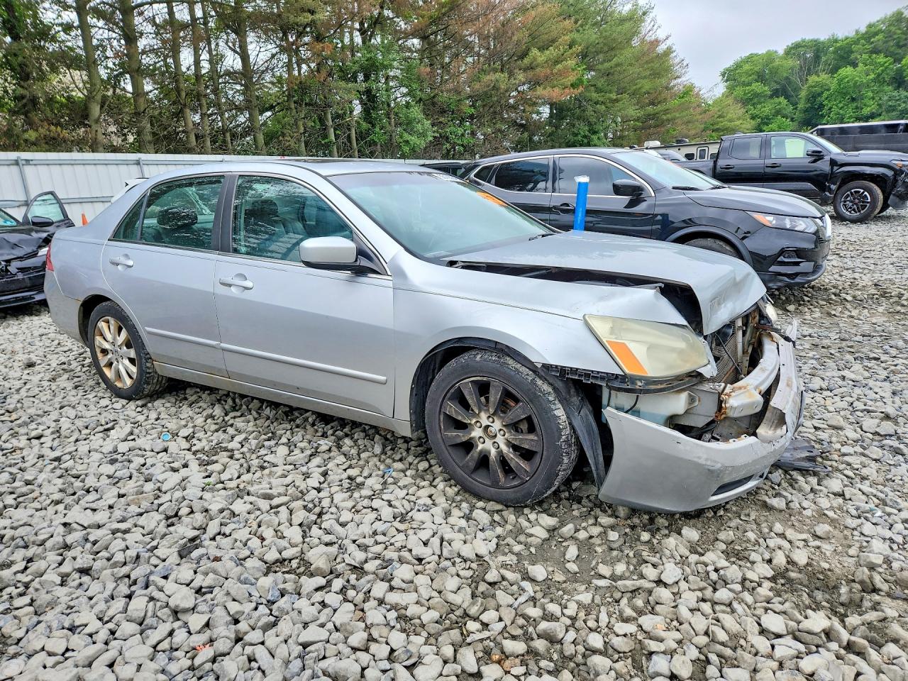 2007 Honda Accord Ex Silver vin: 1HGCM66567A053055