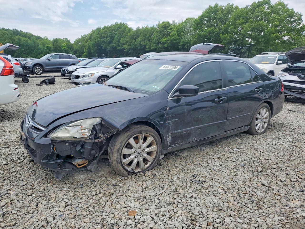 2007 Honda Accord Ex Black vin: 1HGCM66567A057039