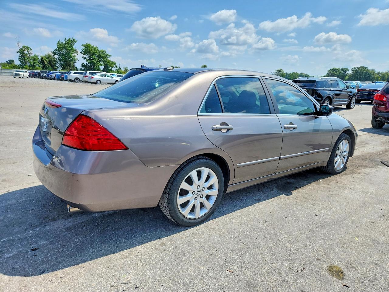 2007 Honda Accord Ex Gray vin: 1HGCM66567A063276