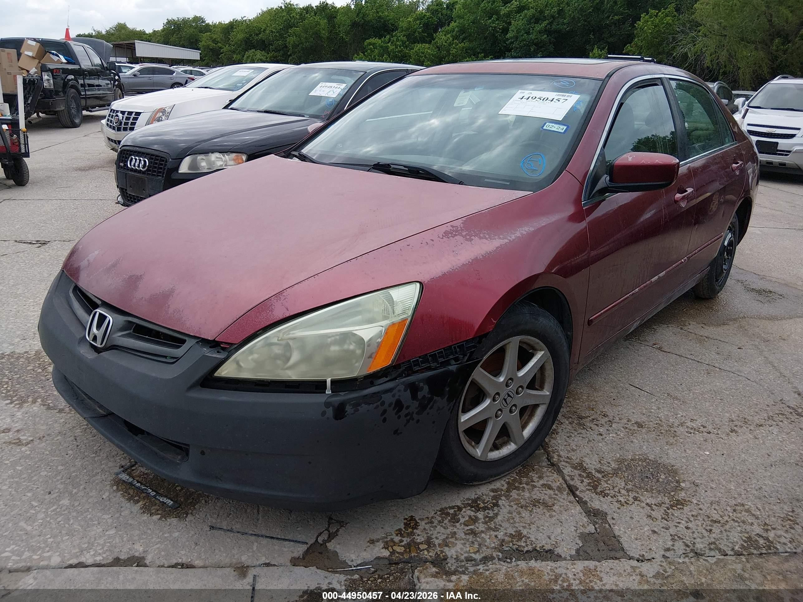 2003 Honda Accord 3.0 Ex Burgundy vin: 1HGCM66573A033830