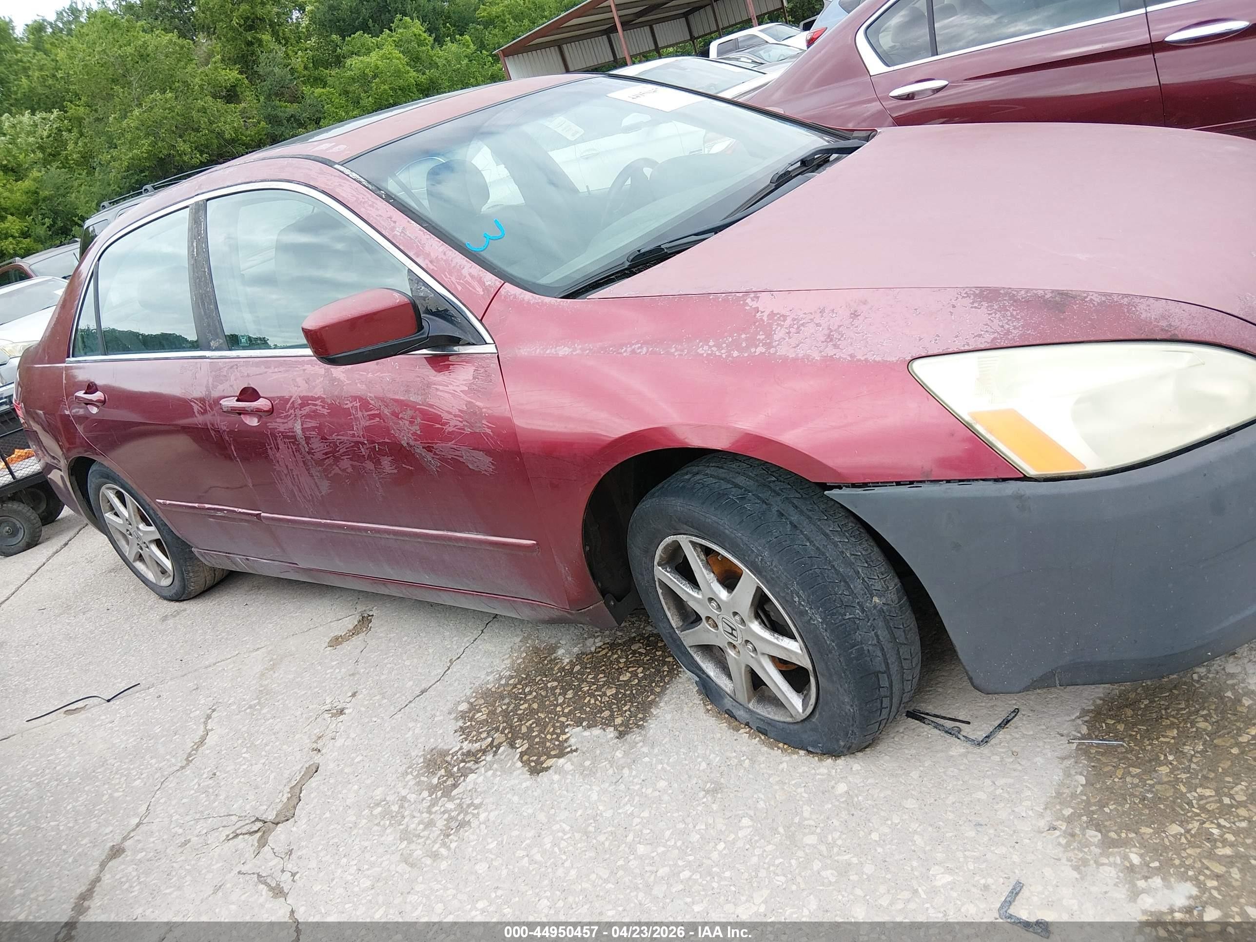 2003 Honda Accord 3.0 Ex Burgundy vin: 1HGCM66573A033830
