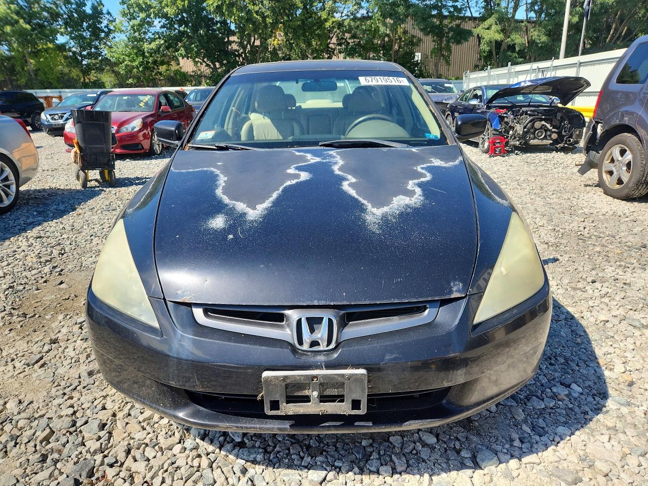 2003 Honda Accord Ex Black vin: 1HGCM66573A057013