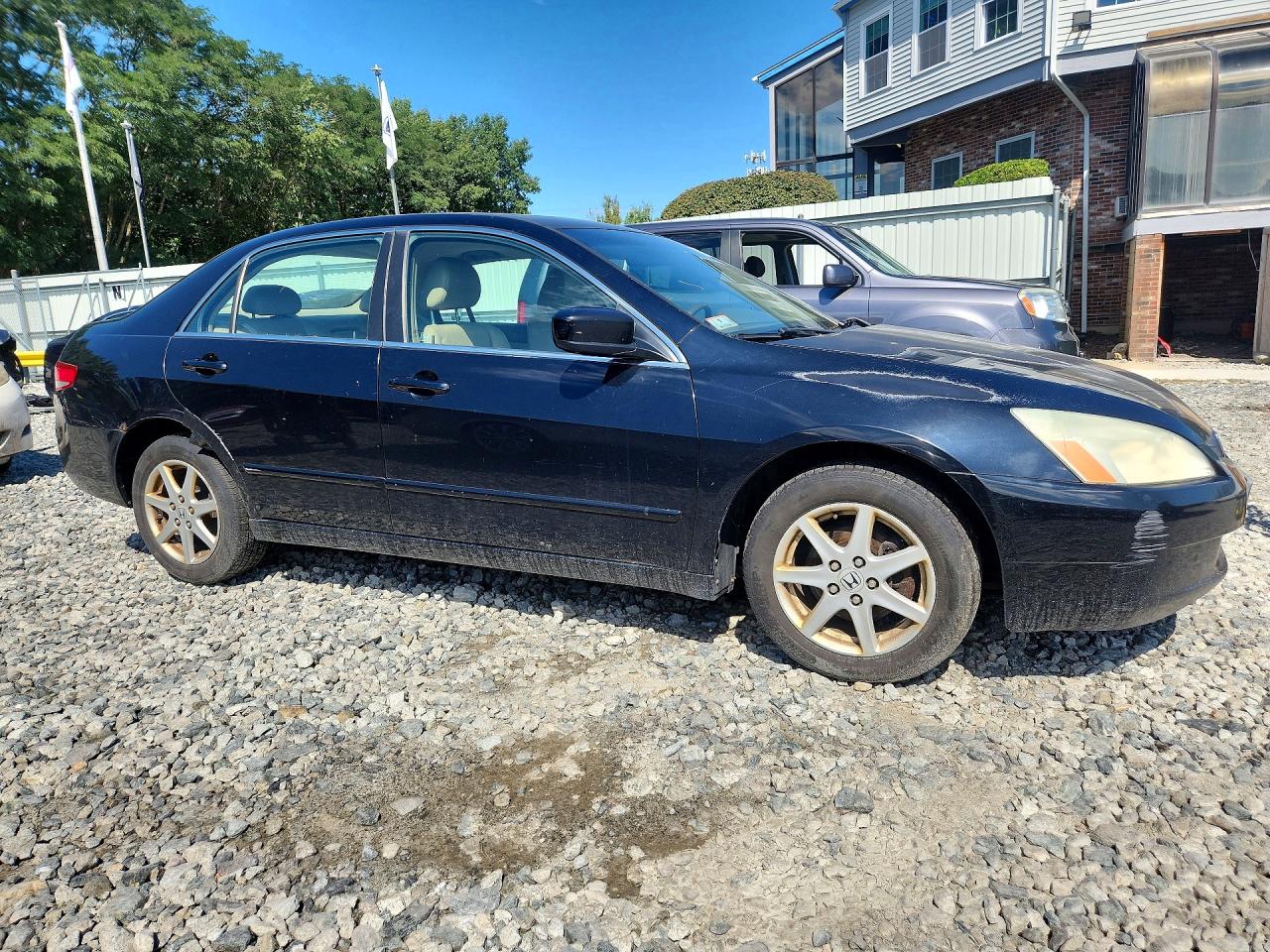 2003 Honda Accord Ex Black vin: 1HGCM66573A057013