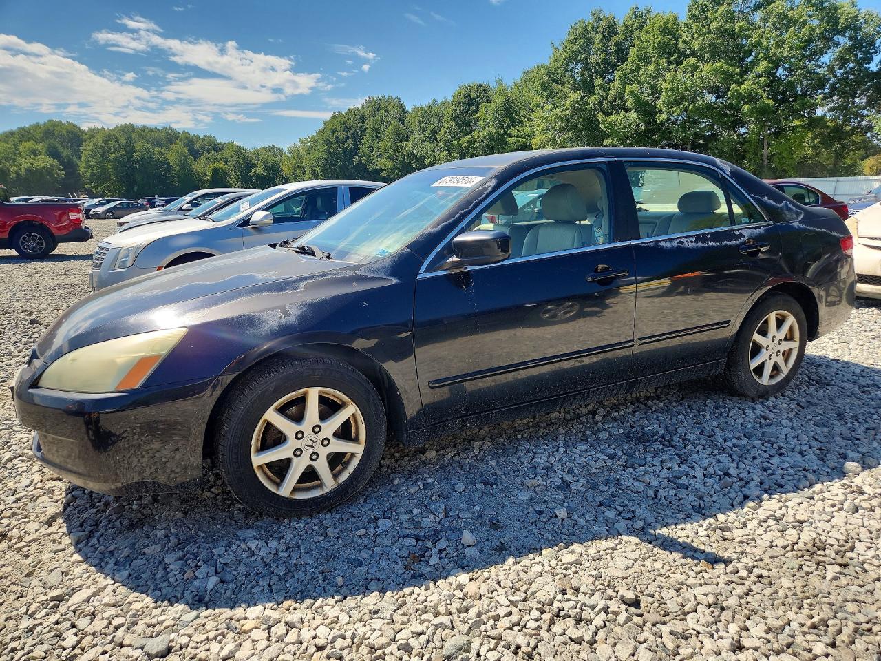 2003 Honda Accord Ex Black vin: 1HGCM66573A057013