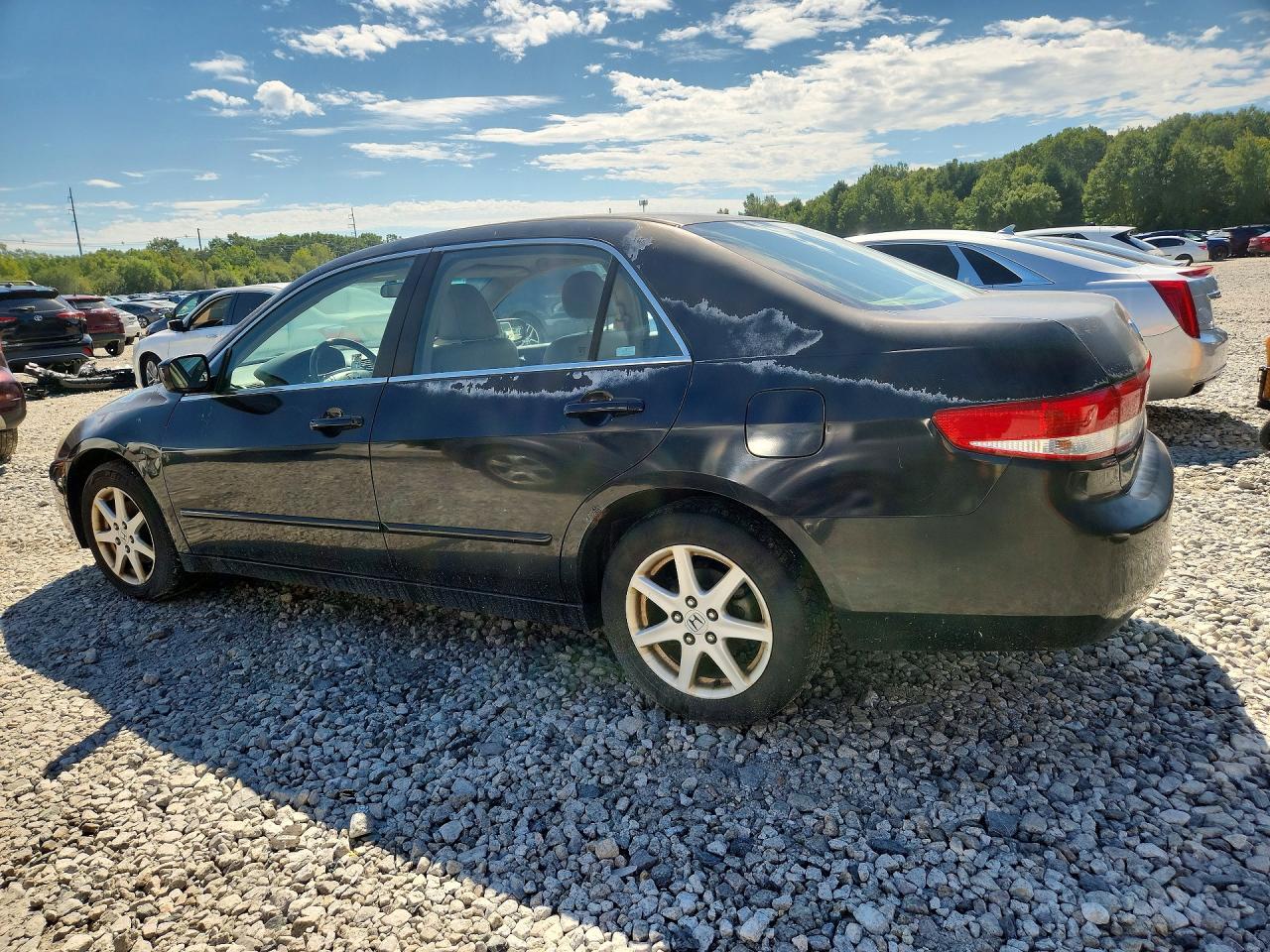 2003 Honda Accord Ex Black vin: 1HGCM66573A057013