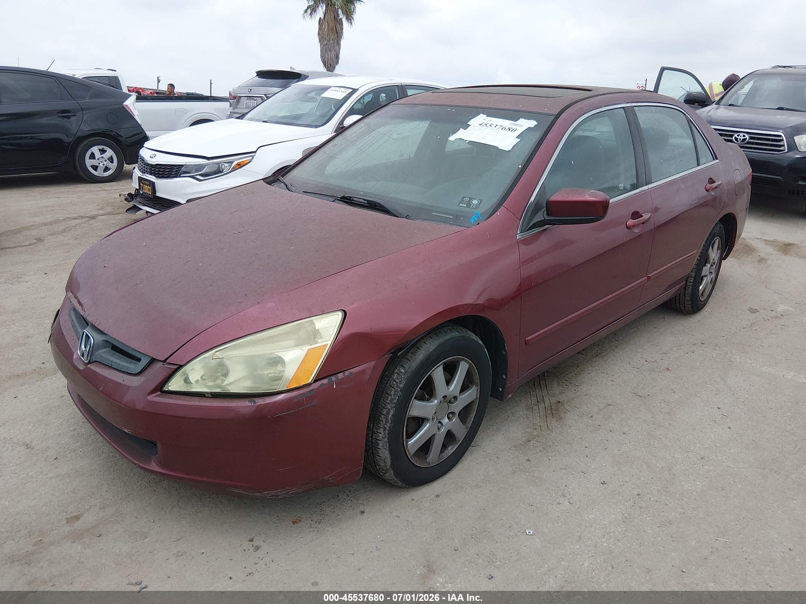 2005 Honda Accord 3.0 Ex Burgundy vin: 1HGCM66575A009191