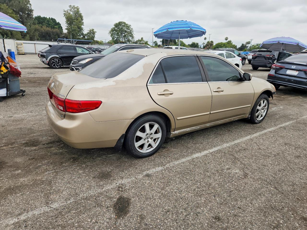 2005 Honda Accord Ex Gold vin: 1HGCM66575A009871