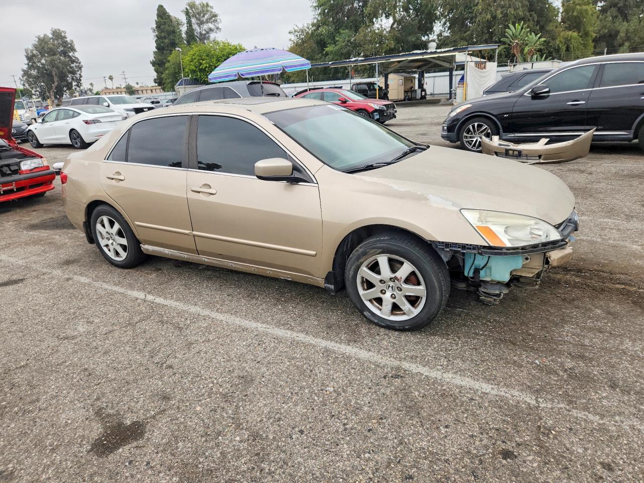2005 Honda Accord Ex Gold vin: 1HGCM66575A009871