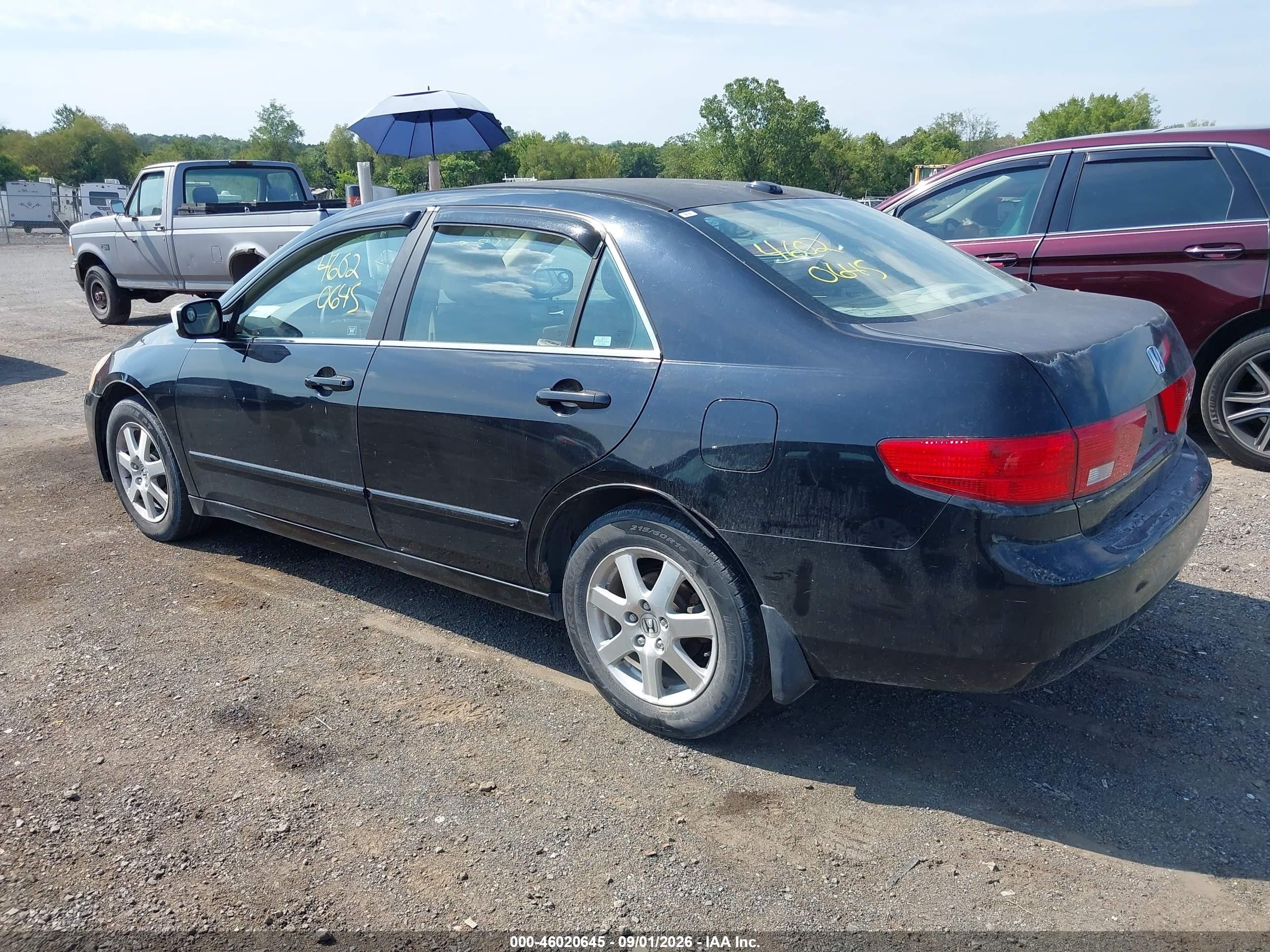 2005 Honda Accord 3.0 Ex Black vin: 1HGCM66575A044006