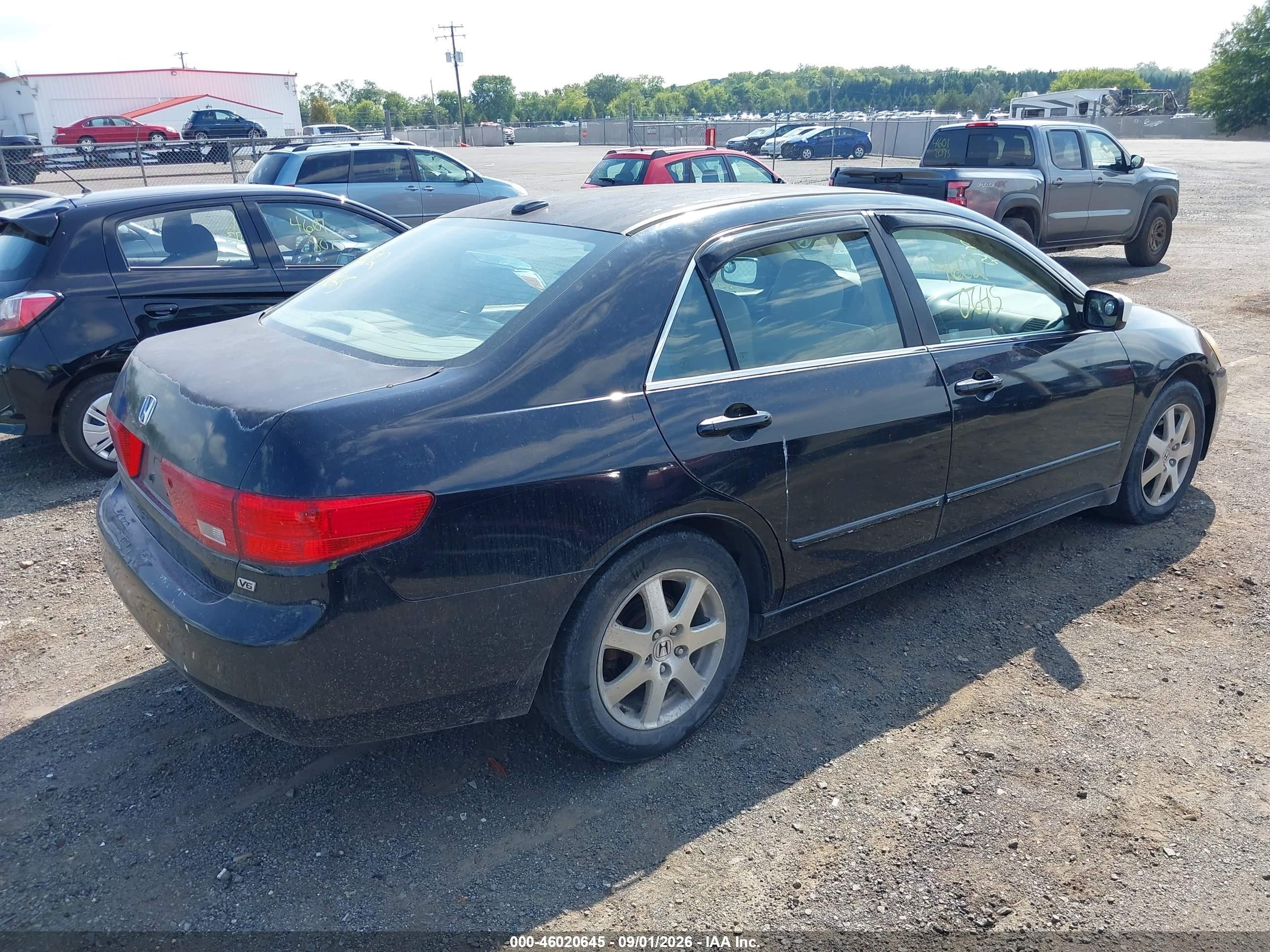 2005 Honda Accord 3.0 Ex Black vin: 1HGCM66575A044006