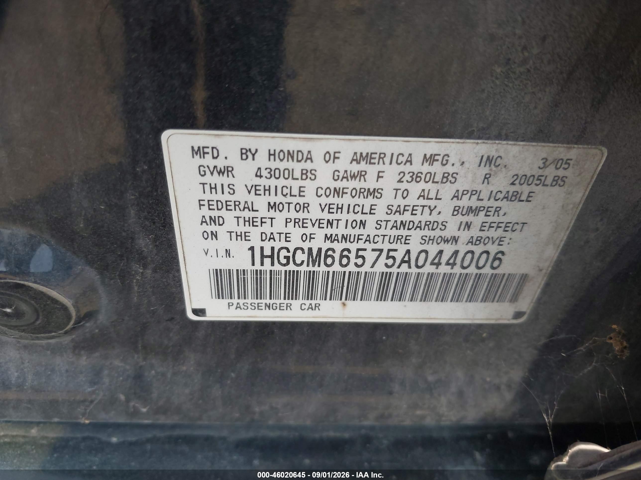 2005 Honda Accord 3.0 Ex Black vin: 1HGCM66575A044006
