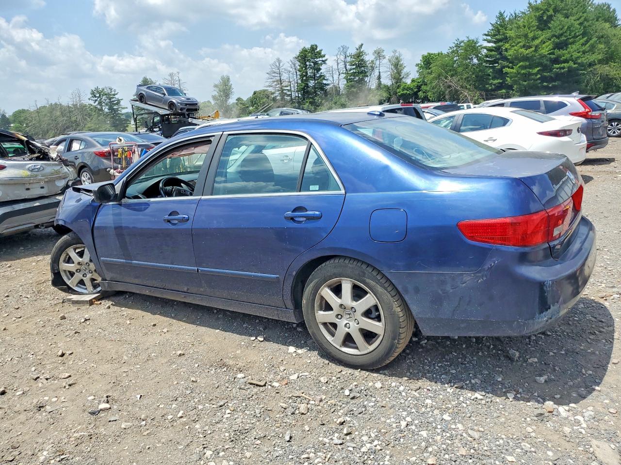 2005 Honda Accord Ex Синий vin: 1HGCM66575A062229