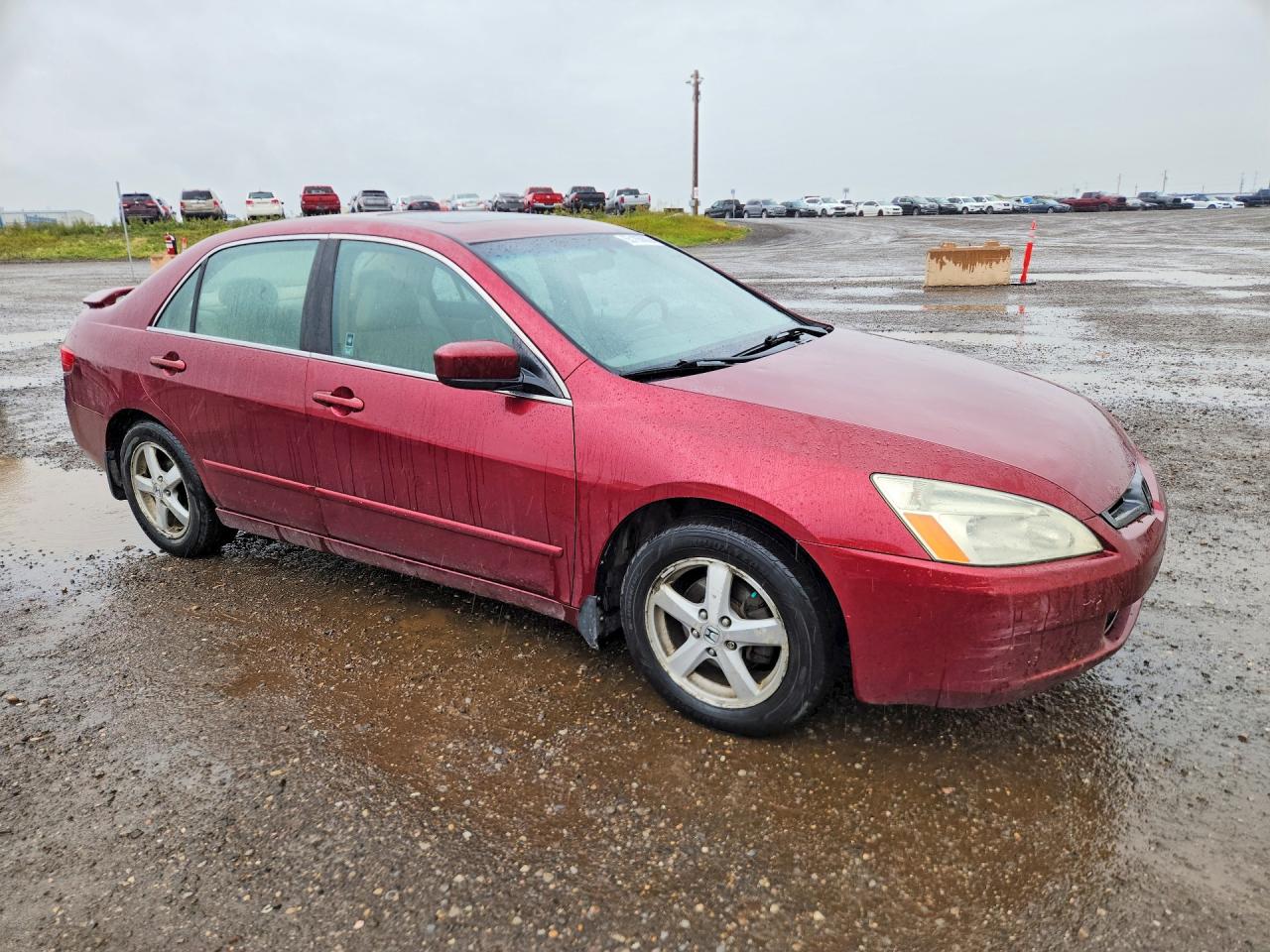 2005 Honda Accord Ex Red vin: 1HGCM66575A800837