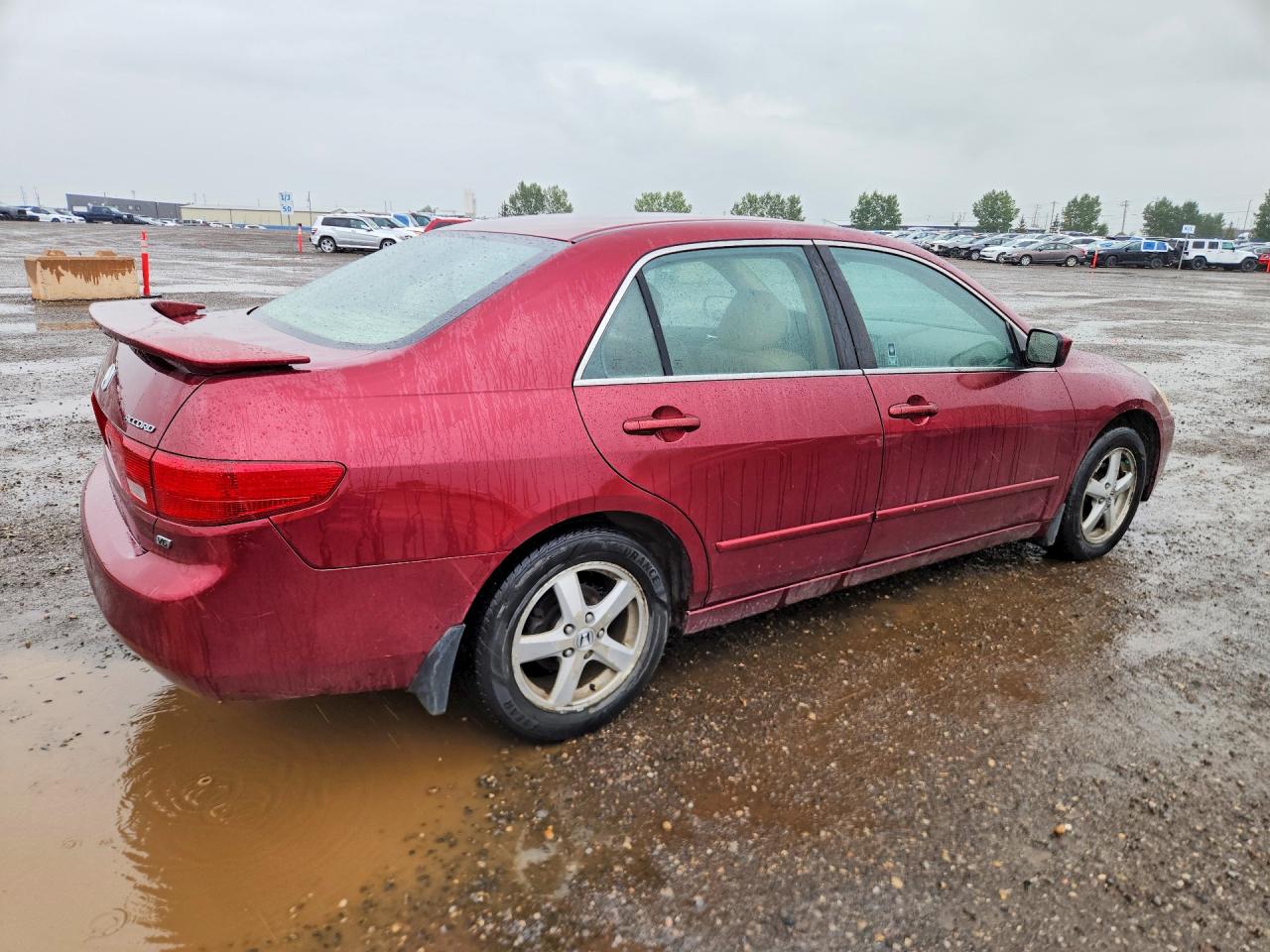 2005 Honda Accord Ex Red vin: 1HGCM66575A800837