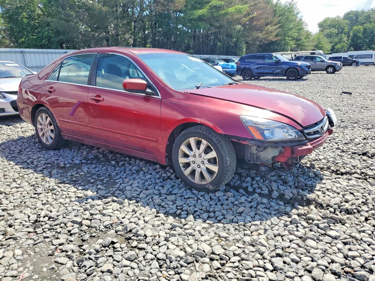 2006 Honda Accord Ex Red vin: 1HGCM66576A010715