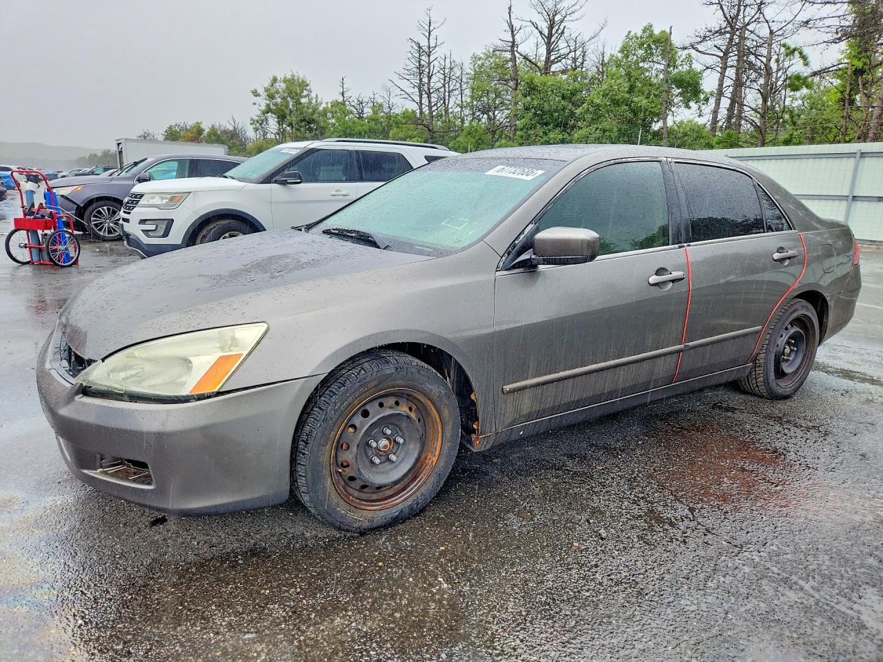 2006 Honda Accord Ex Gray vin: 1HGCM66576A031774