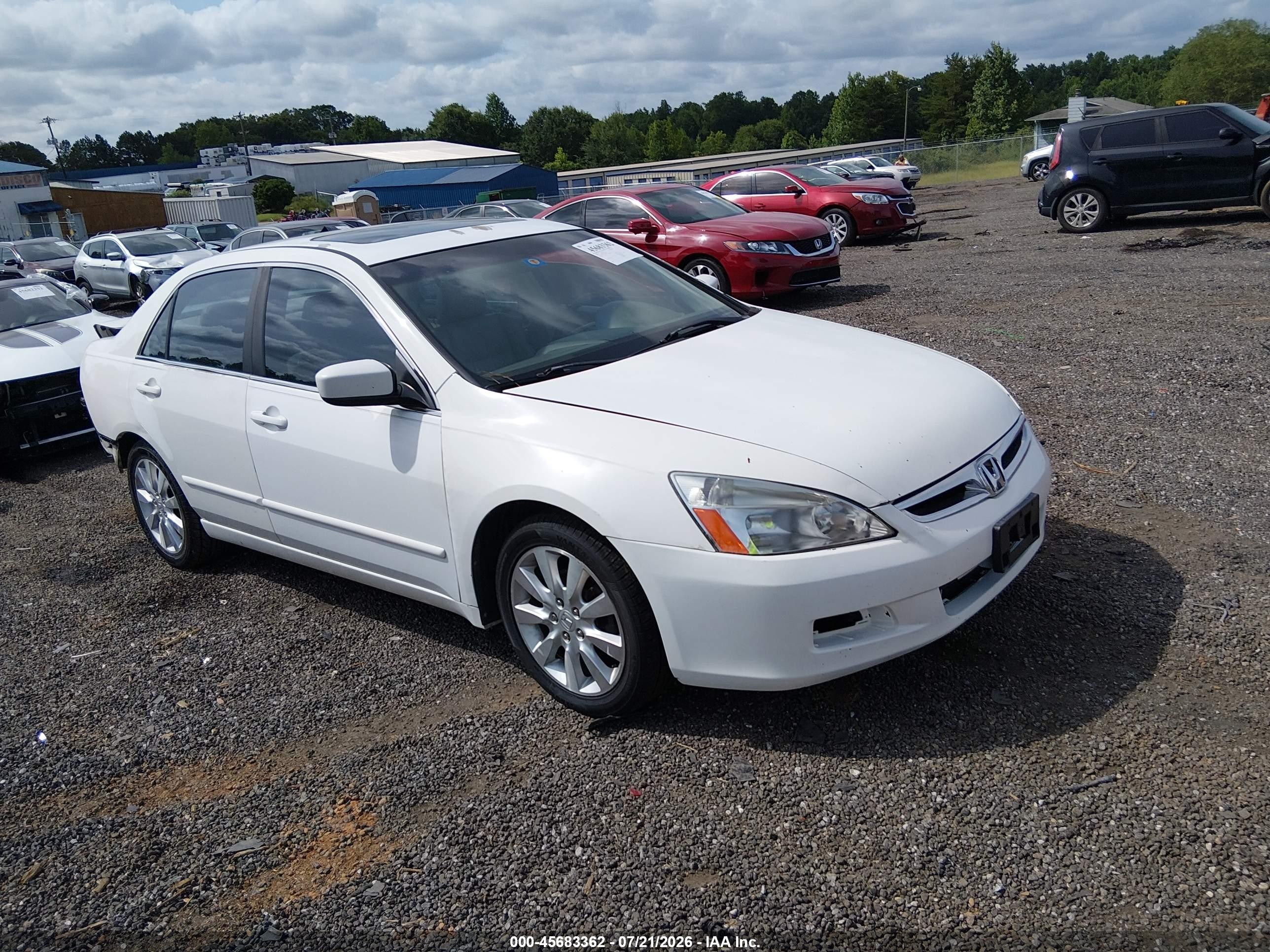 2006 Honda Accord 3.0 Ex White vin: 1HGCM66576A065956