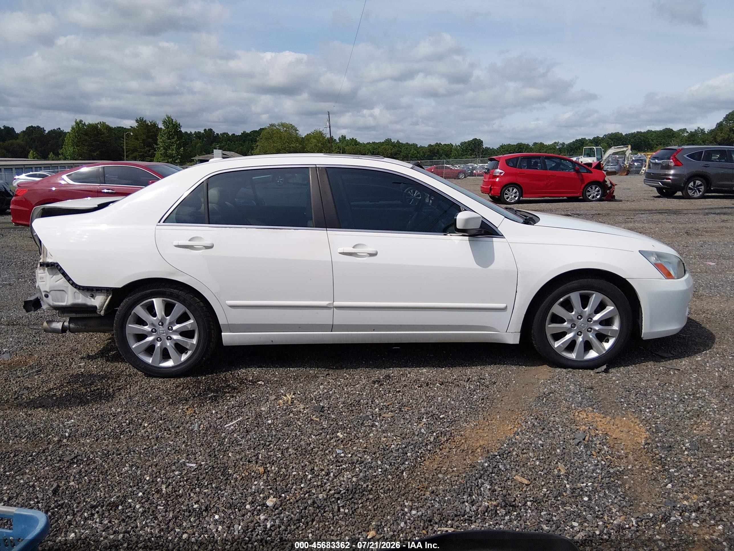 2006 Honda Accord 3.0 Ex White vin: 1HGCM66576A065956