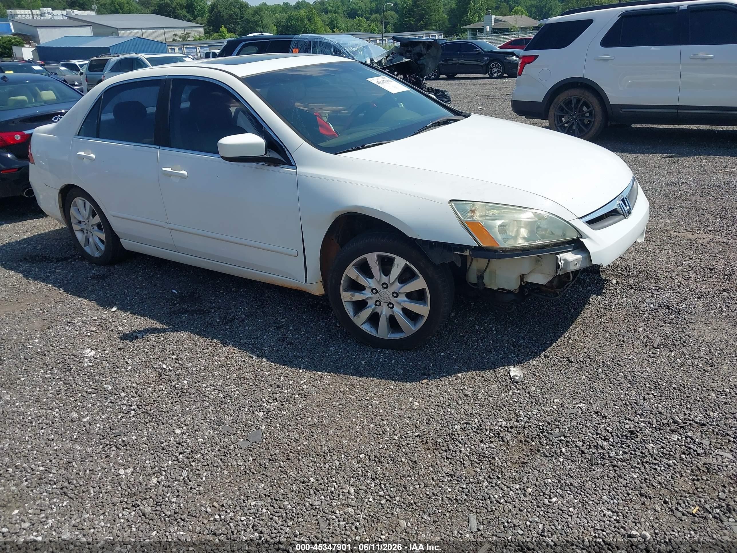 2006 Honda Accord 3.0 Ex White vin: 1HGCM66576A073846