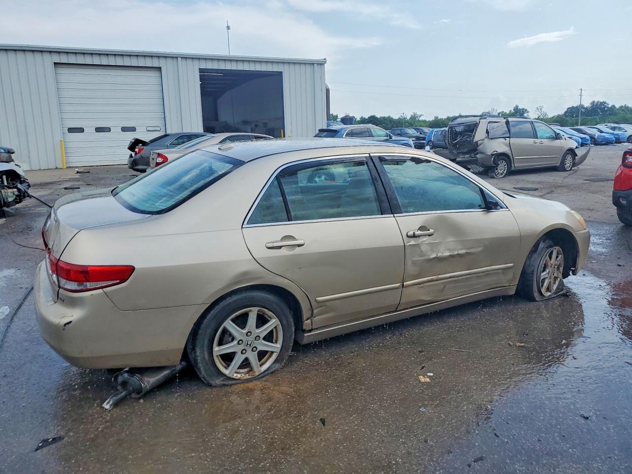 2004 Honda Accord Ex Золотой vin: 1HGCM66584A091706