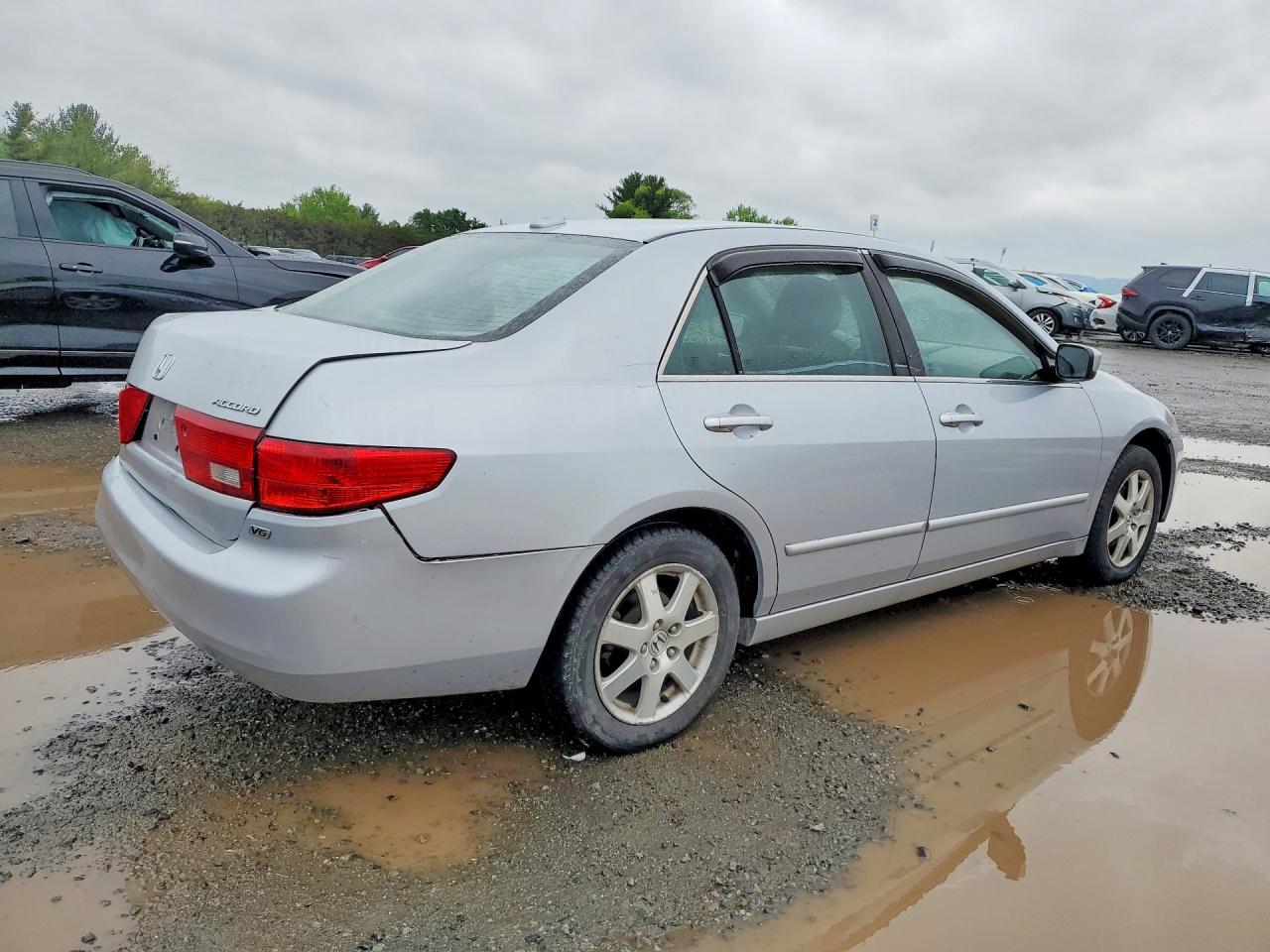 2005 Honda Accord Ex Silver vin: 1HGCM66585A010561