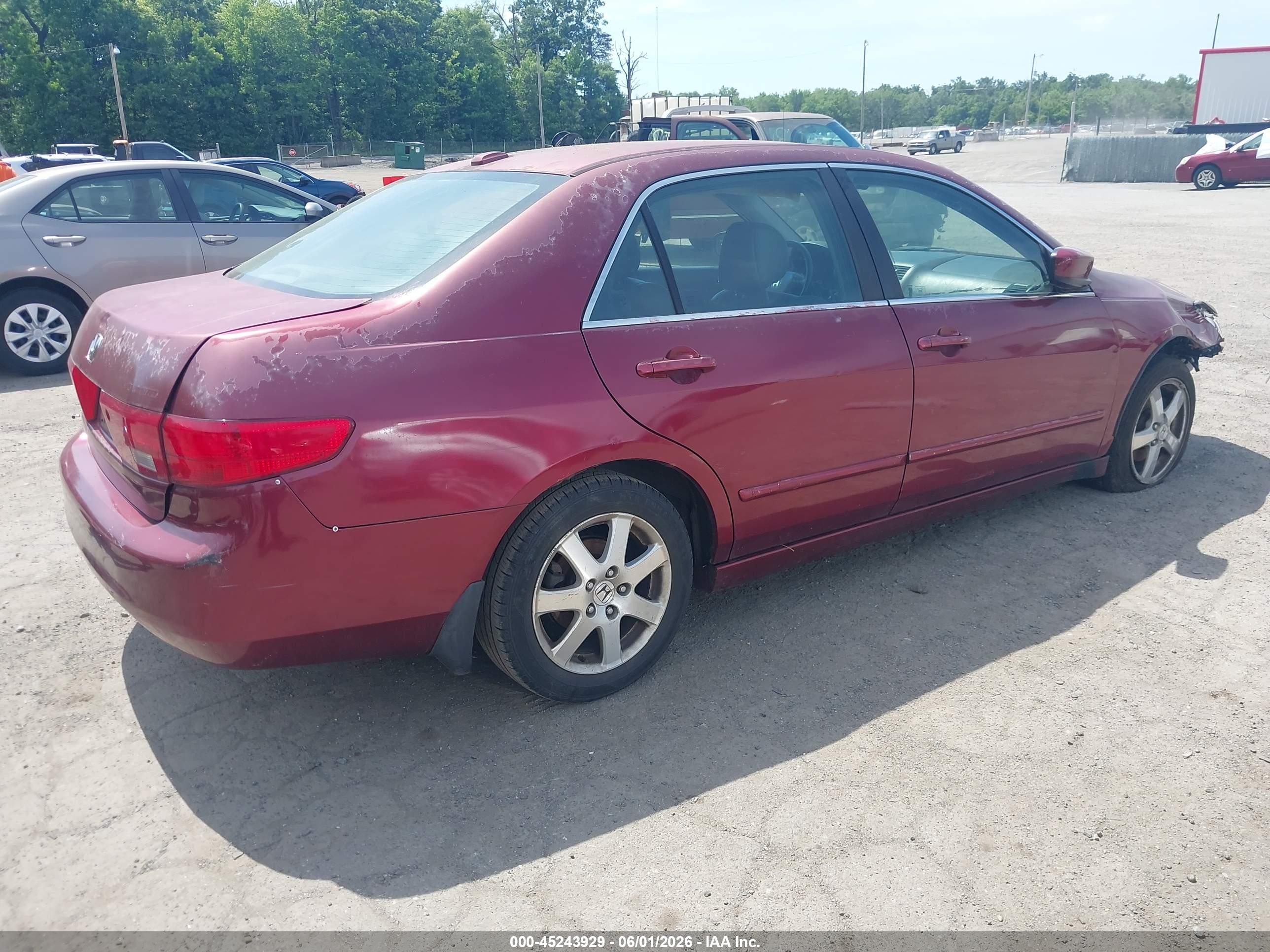 2005 Honda Accord 3.0 Ex Burgundy vin: 1HGCM66585A057380