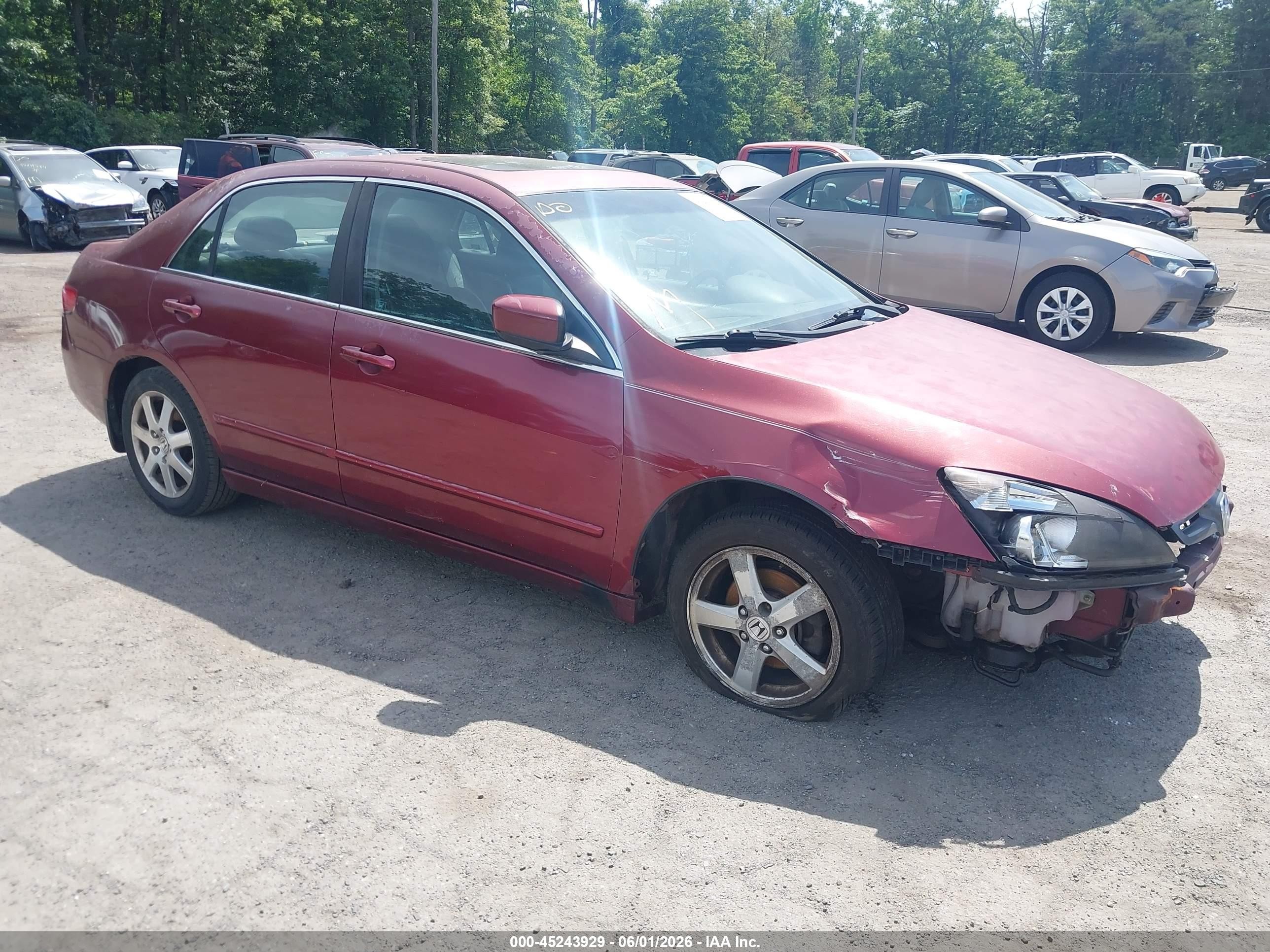 2005 Honda Accord 3.0 Ex Burgundy vin: 1HGCM66585A057380