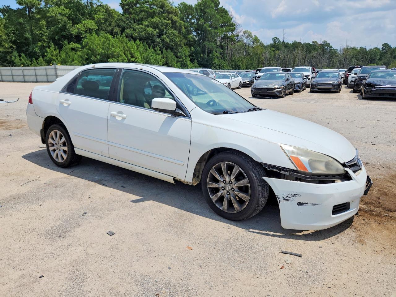 2006 Honda Accord Ex White vin: 1HGCM66586A033887